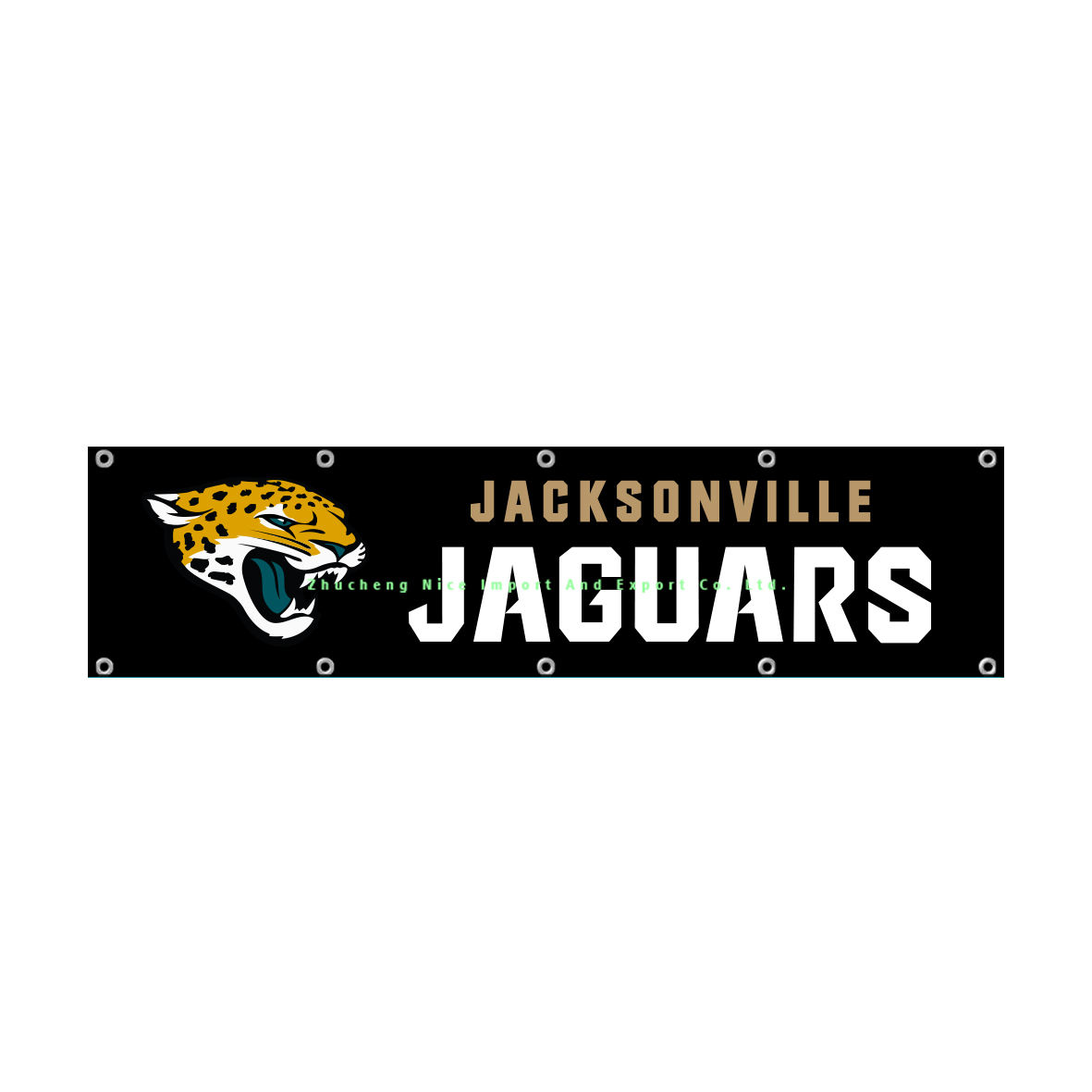 Jaguars de Jacksonville