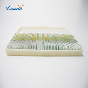 Diapositivas parasitológicas médicas de 42 Piezas Variedad de diferentes parásitos preparados para investigación y estudio - Product Image 4