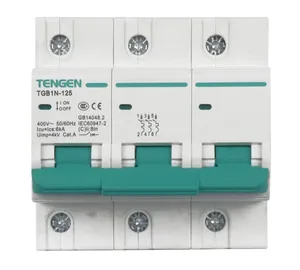 TENGENs Air switch TGB1N-125 4P C 100A 6kA 335012800459 miniature circuit breaker