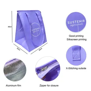 Purple Color Insulated Thermal Keep Warm Food Delivery Insulated Thermal Lunch Cooler Bag For Frozened Food