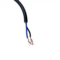 Henghua Elektronik LVDS-Kabel - Präzisionsgefertigter PVC-Kupfer Digital-Bildschirm/TV-Kabelbaum in Kundenspezifischer Farbe, ISO9001-Zertifiziert