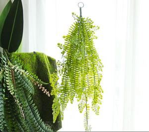 <span class=keywords><strong>Piante</strong></span> Artificiali Piccole, <span class=keywords><strong>Piante</strong></span> Secche Emozionanti, Fornitori all'Ingrosso, <span class=keywords><strong>Piante</strong></span> Artificiali Carine, <span class=keywords><strong>Piante</strong></span> Grasse, Regalo, Decorazione Murale in Rattan - Product Image 2