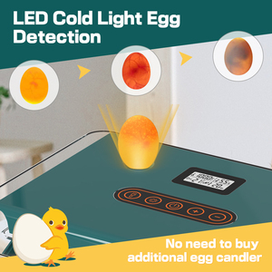 Compre en Línea Nueva Mini Incubadora de Huevos Automática de Alta Productividad para Uso Agrícola, con Capacidad para 25 Huevos de Gallina, Pato y Ganso - Product Image 6