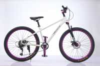 Vélo Tout-Terrain VTT 9 Vitesses en Gros, VTT 26 Pouces