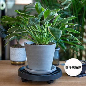 Chariot à plantes avec plateau à 4/5 roues, déplaceur de pots de fleurs ronds et carrés - Product Image 2