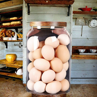 Grand pot de stockage d'aliments en verre minimaliste de 1 gallon avec couvercle en bois d'acacia pour la cuisine ou la rentrée des classes