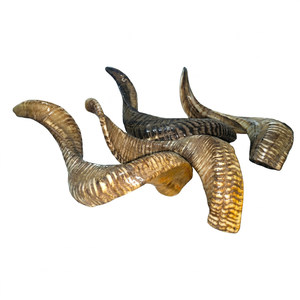 Corne de Bélier Brute Polie, Matériau Organique, Art Religieux Animal, Objets de Collection, Décoration de Maison pour les Fêtes, Europe GM IMPEX, Numéro de Modèle - Product Image 1