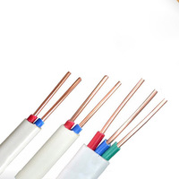 Cables Planos de Voltaje Nominal para Uso Doméstico, Venta al Por Mayor de Fábrica Personalizada