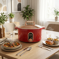 Marmite Électrique Sans Fil en Alliage d'Aluminium 5L 1600W avec Arrêt Automatique et Protection Anti-Ébullition à Sec, Rotation à 360°, pour Usage Domestique et Extérieur