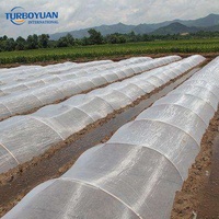 Filet anti-insectes en HDPE traité anti-UV / Sacs en filet anti-moustiques pour la protection des fruits agricoles avec service de découpe