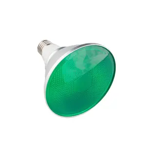 彩色PAR38防水IP65 SMD led灯15W E27绿色