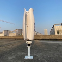 Système d'éolienne à fleurs 600w 1000w, générateur éolien résidentiel à énergie gratuite, installation sur toit, hors réseau, usage domestique 12/24/48v
