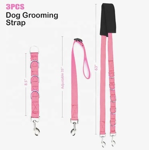 Laisse Flexible Réglable Pvc / Nylon Chat Chien Groom Boucle pour Table Bras Rallonge avec <span class=keywords><strong>Pince</strong></span> Extension Boucle Bain Retenue - Product Image 5