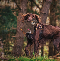 Ours en peluche marron de 11 pouces avec patchs, jouet interactif pour chien, amusant, couineur et pour le jeu de la corde