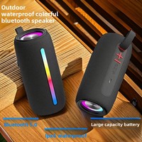 Haut-parleur Bluetooth en tissu puissant 5-10W avec TWS pour fête, lumière RVB BT 5.3, batterie intégrée 1200mAh
