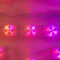 Nouveaux projecteurs LED Chameleon IP66 48 mm automatiques RGB/RGBW AC24V étanches PCB+PC à CRI élevé 90 pour parcs d'attractions
