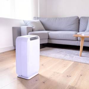 Déshumidificateur et purificateur d'air haute performance DD8 pour salon - personnalisation disponible - Product Image 1