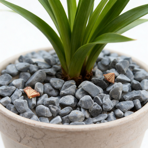 <span class=keywords><strong>Gravier</strong></span> noir arrondi, galets lisses pour jardin - Product Image 5