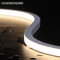 Iluminación Decorativa para Exteriores, Tira de Silicona de 6x12mm, 60 LED/m, DC24V, Rollo de 50M/100M, Resistente al Agua IP67, LED Neon Flex, Regulable, CRI80
