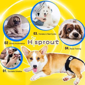 Pañal Ecológico de Tela Lavable para Perros, Pantalones Cortos Modernos para Perras - Product Image 5