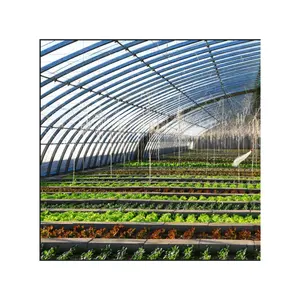In Stock Projects Agricultural Tomato Hydroponics Invernadero Green House Greenhouse For Sale