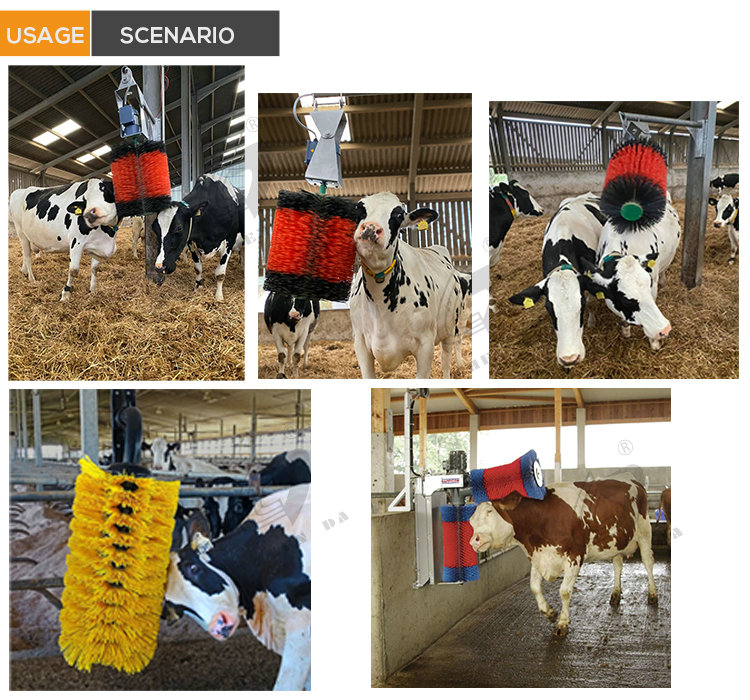 Motor Core Cow Body Brush For Cleaning And Massage