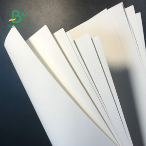 Carta impermeabile <span class=keywords><strong>Premium</strong></span> Never Tear 95um 120um 150um carta sintetica per animali domestici bianca opaca - Product Image 6