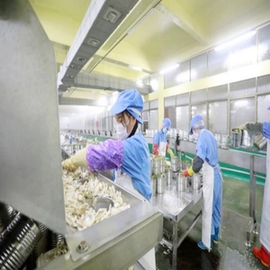 Giá tốt đóng hộp Nấm dây chuyền sản xuất nút nấm đóng hộp máy - Product Image 4