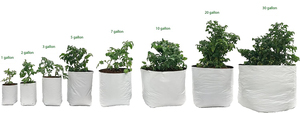 Sacs de culture <span class=keywords><strong>en</strong></span> plastique pour plantes de jardin, fraises, tomates, de grande taille, 1, 3, 5, 7, 10, 15, 20 gallons - Product Image 5