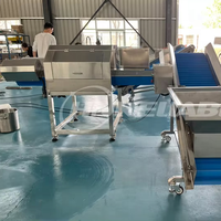 Multifunctionele Groente Snelheid Verstelbare Fruit Halvering Machine Kool Aardappel Grapefruit Aardbei Half Snijmachine