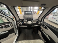 Tricycle électrique entièrement fermé à 3 roues pour passagers adultes, personnalisable