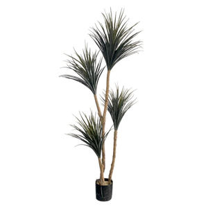 High Quality Real Touch <b>Trees</b> Dracaena Cinnabari Artificial Plant for <b>Pot</b> Decoration Outdoor Decorative <b>Tree</b> Potted Arboles - Product Image 6