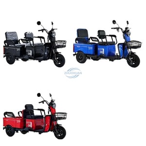 Triciclo Eléctrico Compacto |   Vehículo de Doble Uso para Pasajeros y Carga, Ideal para Recogida Escolar y Desplazamientos Diarios - Product Image 1