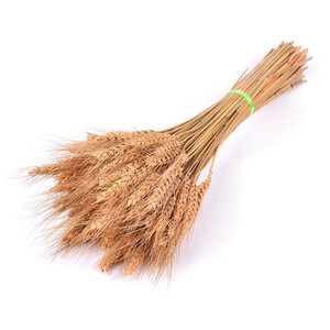 Fiori Secchi di Grano, Piante Pastorali Naturali in Colori Primari per Decorazioni Autunnali - Product Image 4
