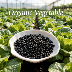 <span class=keywords><strong>Engrais</strong></span> organique pour oignon, concombre, laitue, asperges, conditionneur de sol à libération lente NPK 12-1-1 - Product Image 3