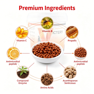 Suplemento para <span class=keywords><strong>Palomas</strong></span> Waylemo, Vitaminas Energéticas para Aves, Productos Nutricionales para <span class=keywords><strong>Palomas</strong></span> de Competición, OEM - Product Image 3