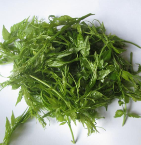 Mei Cha China característica vid té color blanco natural puro Ampelopsis grossedentata brotes de hojas jóvenes té en venta - Product Image 3