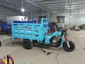 Motocicleta <span class=keywords><strong>de</strong></span> Carga <span class=keywords><strong>de</strong></span> <span class=keywords><strong>Tres</strong></span> <span class=keywords><strong>Ruedas</strong></span> a Gasolina, Motorizada, con Capacidad <span class=keywords><strong>de</strong></span> Carga <span class=keywords><strong>de</strong></span> 400 kg, Nueva, Completa, para Comercio Transfronterizo - Product Image 2