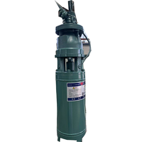 Kit de pompe solaire complet avec panneaux, pompe solaire pour puits profond, système de pompe à eau solaire submersible DC pour l'irrigation