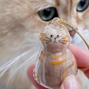 Caja de Almacenamiento Transparente de Plástico para Pelo de Gato, Colgante Llavero para Pelo de Mascota como Bolsa de Colección Conmemorativa con Colgante Llavero - Product Image 3