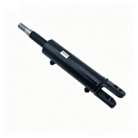 Nouvel ensemble de vérin d'inclinaison pour chariot élévateur Chaolutong 12204901500, compatible Linde H25/H30/H35, série 1220, capacité 1-10 tonnes, pièces de rechange pour chariot élévateur