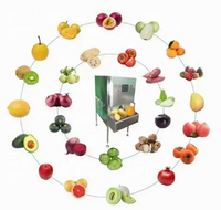 Automatische hoog-efficiënte fruitpelschilmachine voor mango, ananas & grapefruit met SUS304 roestvrij staal, capaciteit 1000 stuks/uur
