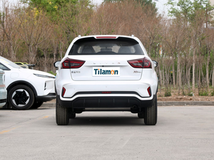 Rayleigh X3 PRO Mini SUV <span class=keywords><strong>Prix</strong></span> Bas 5 Places Rayleigh X3 PRO Mini SUV pour les Marchés Emergents Économique pour les Marchés Emergents - Product Image 3