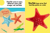 Offre Spéciale – Livres Audio Éducatifs pour Enfants sur l'Alphabet Arabe, Couverture Rigide Étanche, Matériaux Sûrs et Économiques – Cadeau d'Anniversaire Idéal pour l'École à Domicile