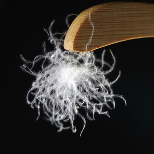 Plumes <span class=keywords><strong>de</strong></span> <span class=keywords><strong>canard</strong></span> blanches <span class=keywords><strong>de</strong></span> qualité nationale à 95 %, garnissage <span class=keywords><strong>de</strong></span> haute pureté pour couettes et literie <span class=keywords><strong>de</strong></span> luxe - Product Image 1