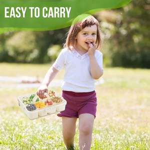 Contenedor de Almacenamiento de Especias Portátil de Plástico para Cocina, Caja para Snacks, Bandeja Dividida para Servir con Tapa y Asa - Product Image 2