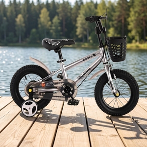 <span class=keywords><strong>Vélo</strong></span> pour enfants de 12, <span class=keywords><strong>14</strong></span> et 16 <span class=keywords><strong>pouces</strong></span>, cadre en acier argenté, pneus antidérapants, <span class=keywords><strong>vélo</strong></span> pour enfants de 3 à 12 ans, garçons, filles, tout-petits - Product Image 1