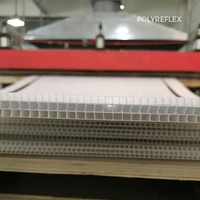 Feuille de plastique à double paroi cannelée, fabricant OEM, Chine, Vietnam, fournisseur