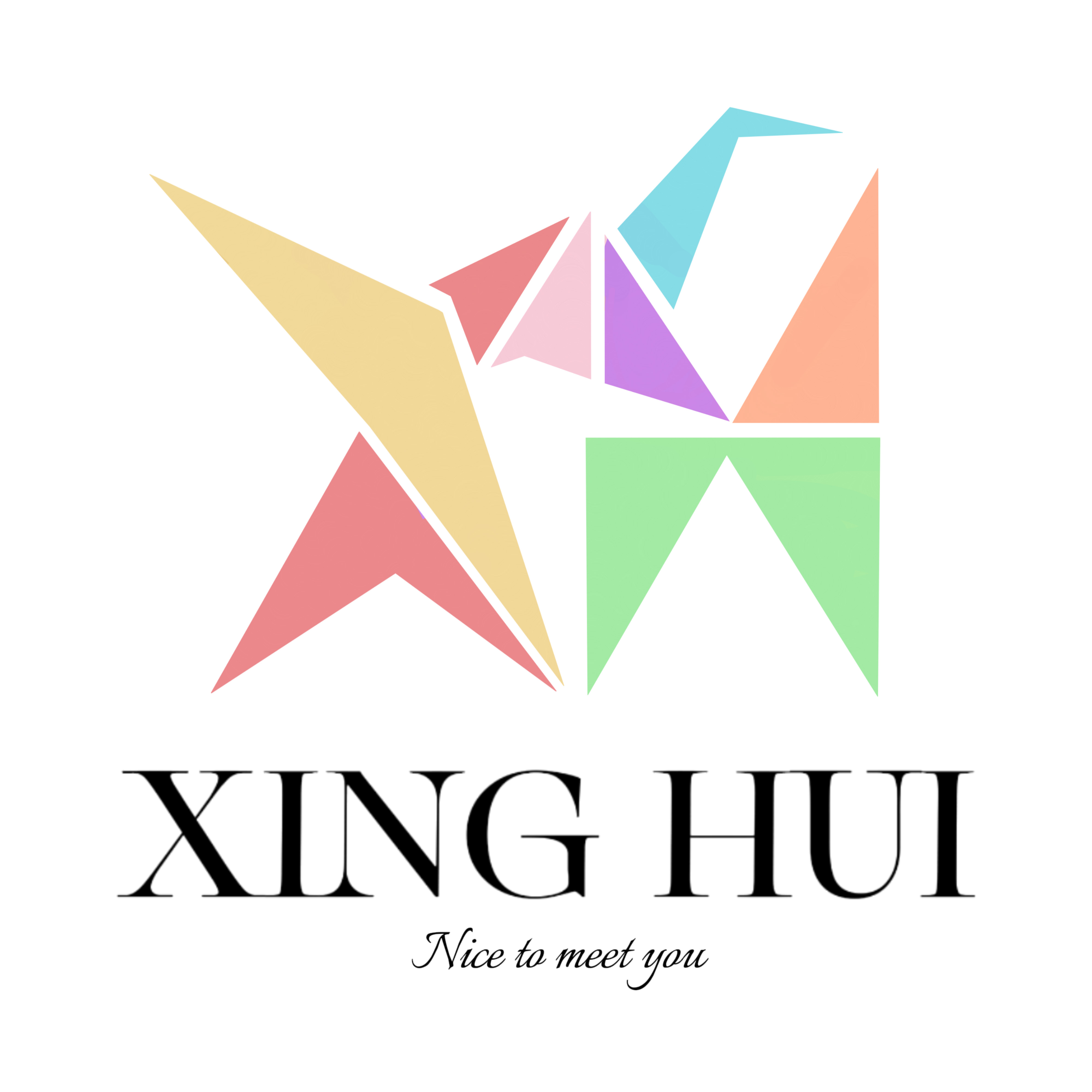 Taizhou Xinghui Trading Co., Ltd. logo