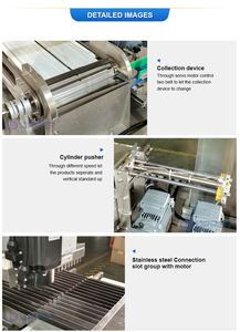 Galletas <span class=keywords><strong>de</strong></span> café Nutrición en polvo proteína Colección <span class=keywords><strong>de</strong></span> barras <span class=keywords><strong>de</strong></span> chocolate Máquina clasificadora automática <span class=keywords><strong>para</strong></span> máquina empacadora <span class=keywords><strong>de</strong></span> cajas <span class=keywords><strong>de</strong></span> cartón - Product Image 6